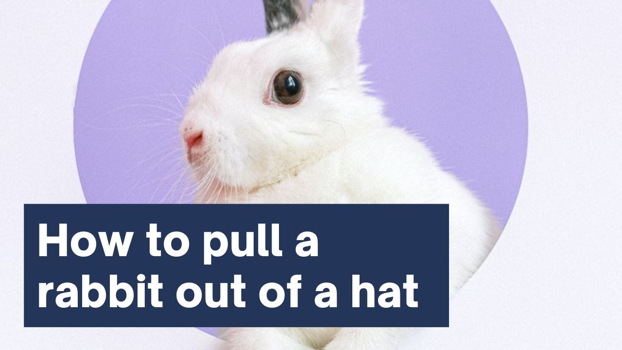 How to pull a rabbit out of a hat